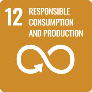 UN SDG 12: Responsible Consumption and Production