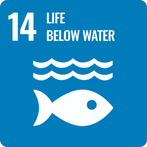 UN SDG 14: Life Below Water
