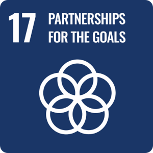 UN SDG 17: Partnerships to achieve the Goal
